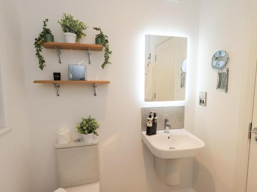 a bathroom with a sink and a mirror at Unique Luxury Lodge in Windermere