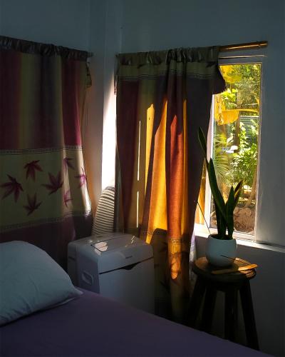 PAUI Rooms