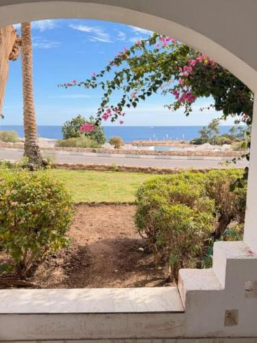 Suite vista mare domina coral bay Sharm el sheik