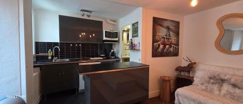 a kitchen with a counter and a sink in a room at La cachette de l'Alpiniste in Fontainebleau
