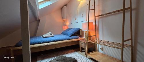 a small room with two bunk beds and a ladder at La cachette de l'Alpiniste in Fontainebleau