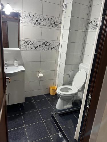 a bathroom with a toilet and a sink at Casa Alle in Eşelniţa