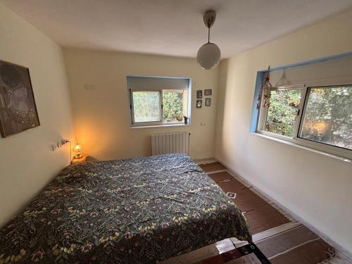 a bedroom with a bed and two windows at בשקט שלך in Mattat