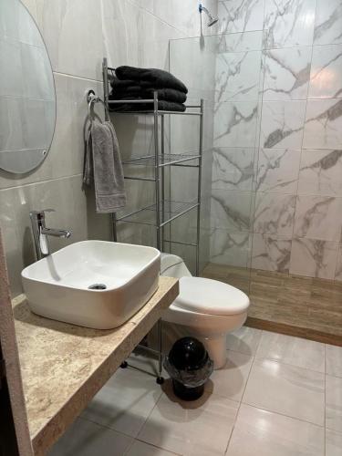a bathroom with a sink and a toilet and a shower at Apartamento con acceso directo al río in Veracruz
