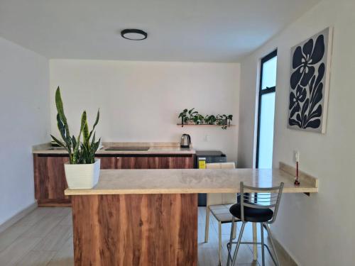 a kitchen with a wooden island with a potted plant at Estudio Lavanda in Santa Rosa de Jáuregui