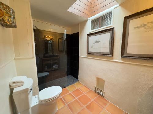 a bathroom with a toilet and a shower at Old Taos Guesthouse B&B in Taos