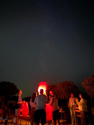 a group of people looking at the night sky at Dana Trail Nomad Camp in Dana