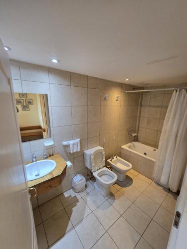 a bathroom with a toilet and a sink and a tub at Mirabeagle Departamentos in Ushuaia