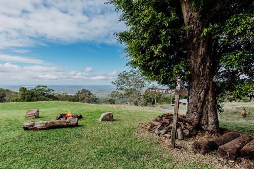 a campfire next to a tree with a street sign at Acreage property, pet friendly, outdoor campfire in Bald Knob