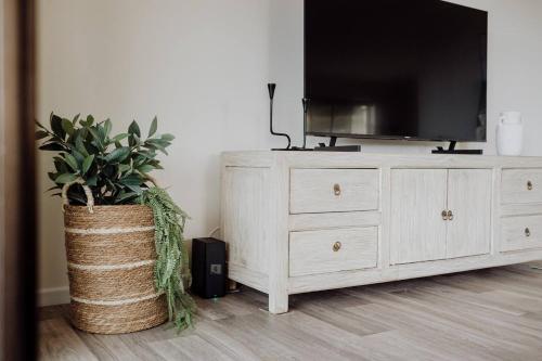 a dresser with a television and a potted plant at Acreage property, pet friendly, outdoor campfire in Bald Knob
