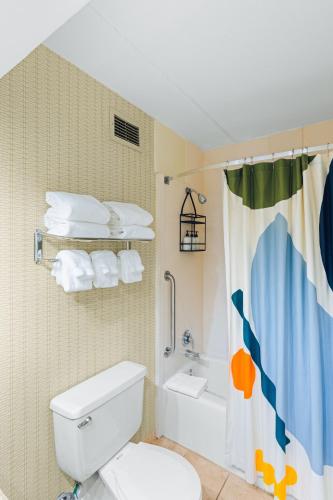 a bathroom with a toilet and a shower curtain at Hotel Downstreet, an Ascend Collection Hotel in North Adams