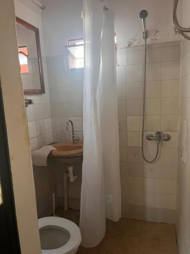 a bathroom with a toilet and a sink and a shower at Azahares in Termas del Daymán