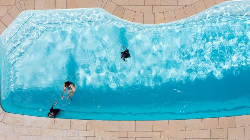 three people swimming in a large swimming pool at Kianinny Bush Cottages in Tathra