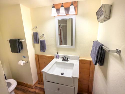 a bathroom with a white sink and a toilet at Inside Yosemite Park-Cozy Corner Unit-Sleeps 2 in Yosemite West