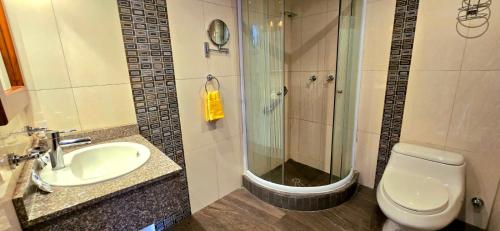 a bathroom with a shower and a toilet and a sink at Hotel Savoy Inn in Quito