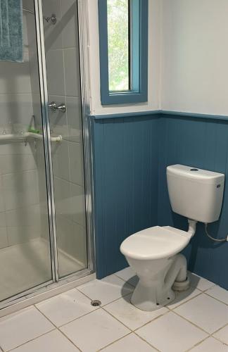 a bathroom with a toilet and a shower at Nockold's Cottage in Denmark