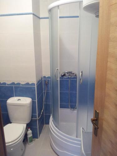 a bathroom with a toilet and a shower at Apartmani Čolić Vlašić in Vlasic