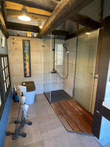 a bathroom with a shower and a toilet at stylish japanese beach house in Toyohashi