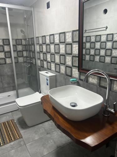 a bathroom with a sink and a shower and a toilet at Sinharaja Geo Dome in Nelluwa