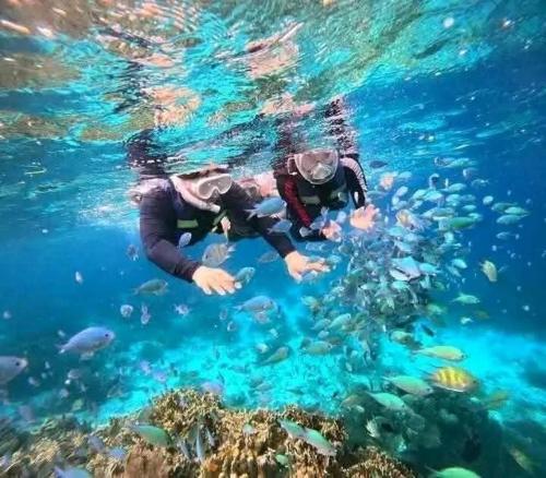 two people swimming in the water with fish at Bohol Panglao Paradise Villa in Panglao Island