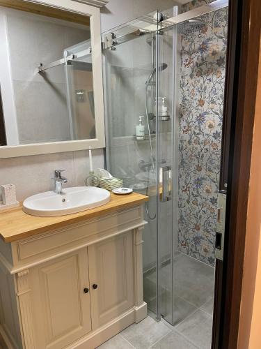a bathroom with a sink and a shower at Casa Veche in Runcu