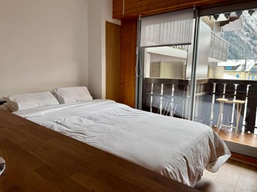 Appt 4 pers Chamonix
