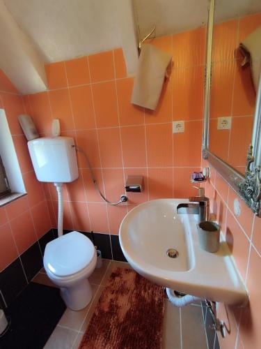 a bathroom with a toilet and a sink at Vikend kuća Davor in Risovac