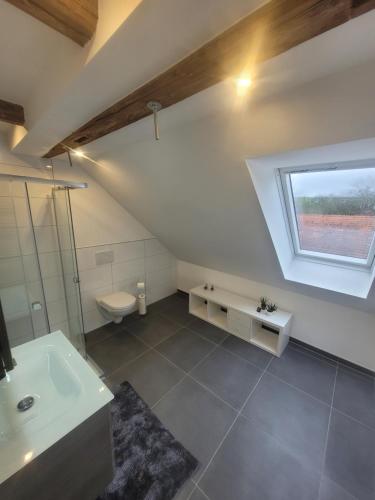 a bathroom with a toilet and a sink and a window at Ferienwohnung Barfelde in Dötzum
