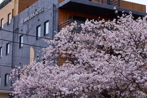 a tree with pink flowers in front of a building at KAMAKURA Hotel in Kamakura