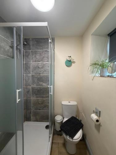 a bathroom with a toilet and a glass shower at Norfolk Farm Stays by Beach Dog Friendly in Heacham