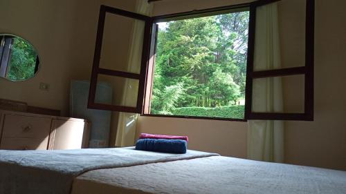 a bedroom with two beds and a large window at Casinha nas montanhas in Gonçalves