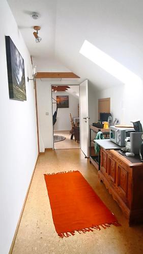 a kitchen with an orange rug in a room at Gemütliches, ruhiges Zimmer mit eigenem Bad in Werther