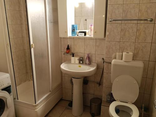 a bathroom with a toilet and a sink and a shower at ELENA Center Apartment in Timişoara