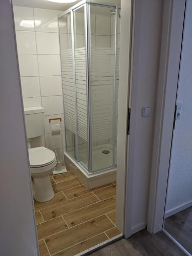 a bathroom with a toilet and a glass shower at Bad Salzdetfurth Gästewohnungen in Bad Salzdetfurth