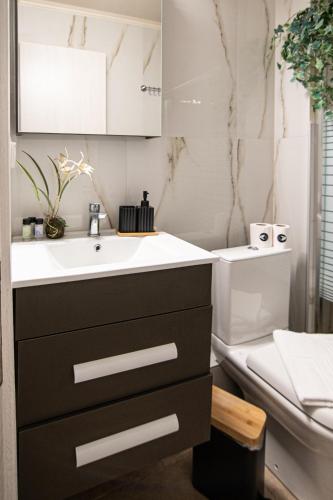 a bathroom with a sink and a toilet at ALEXANDRA Boutique Residence Seaside in Alexandroupoli