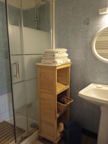 a bathroom with a shower and a sink and towels at La Closerie in Saint-Philbert-du-Peuple
