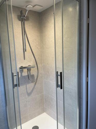 a shower with a glass door in a bathroom at Le gîte des pélus in Rochecorbon