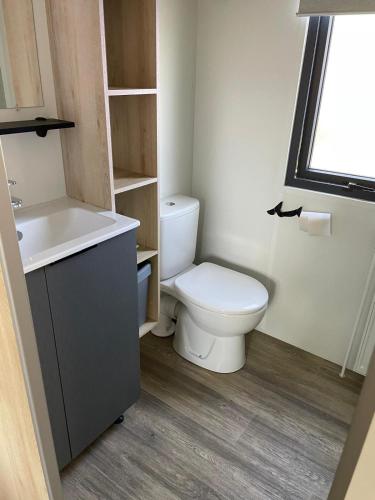 a small bathroom with a toilet and a sink at Ferienhaus im Naturschutzgebiet in Holland in Lauwersoog