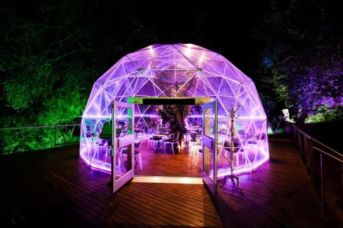 a gazebo with purple lights on a deck at Forum Homini Boutique Hotel in Krugersdorp