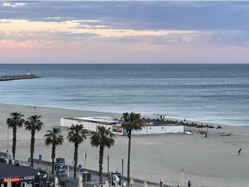 Le Cygne Canet Plage