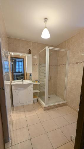 a bathroom with a shower and a sink at Les Grands Champs in Attignat-Oncin