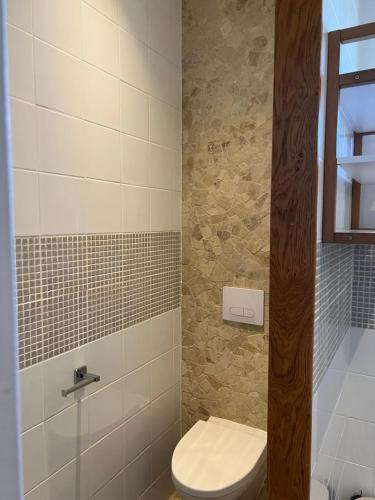a bathroom with a toilet and a tile wall at La parenthèse de Saint Esselin 2 in Larreule