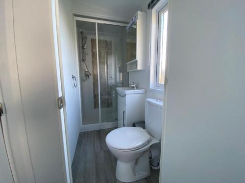 a bathroom with a toilet and a shower at Chalet op Camping Mounewetter in Witmarsum