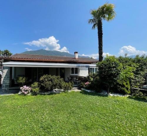 a house with a palm tree in a yard at Ascona Casa Cristina in Ascona
