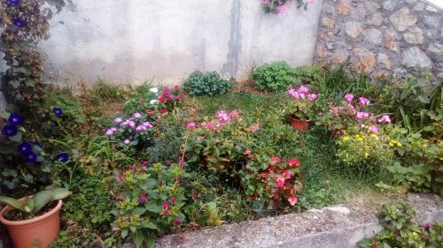 Gallery image of Guesthouse Filepi in Senj