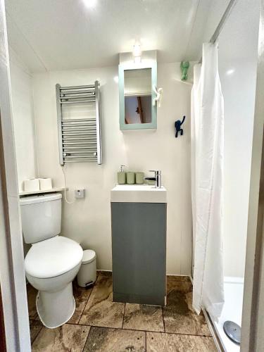 a bathroom with a toilet and a sink and a shower at Modern self contained tiny home with patio in Loughton