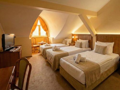 pokój hotelowy z dwoma łóżkami i telewizorem w obiekcie Hotel Maxim w mieście Oradea