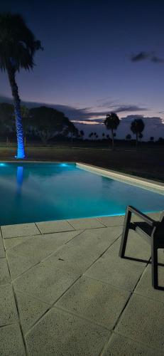 a pool with a chair next to a palm tree at Complejo La Conquista in Goya