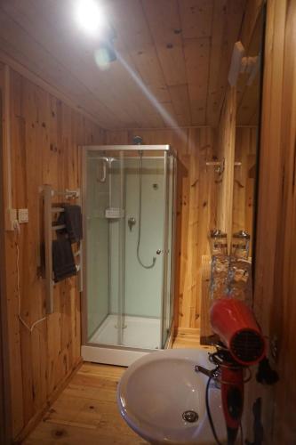 a bathroom with a shower and a sink at Chambre d'hôtes Juste-Confortable in Fleurey-lès-Lavoncourt