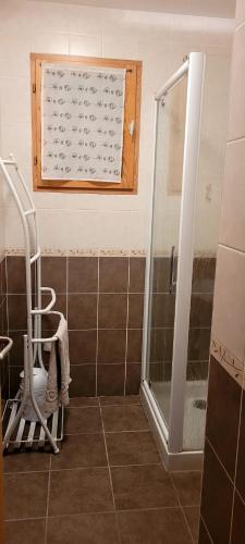 a bathroom with a walk in shower next to a ladder at Les Chalets du Choumeau in Saint-Léger-les-Mélèzes